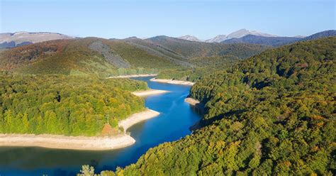 selva de irati verano|Selva de Irati (Navarra) Attraktionen und Bilder